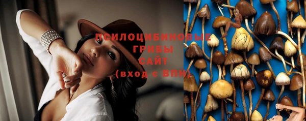 дмт Балахна