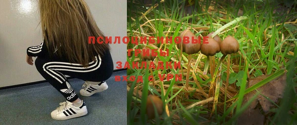мет Алексеевка