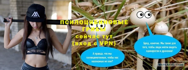 jwh Алзамай