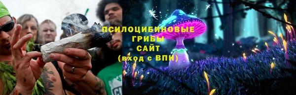 jwh Алзамай