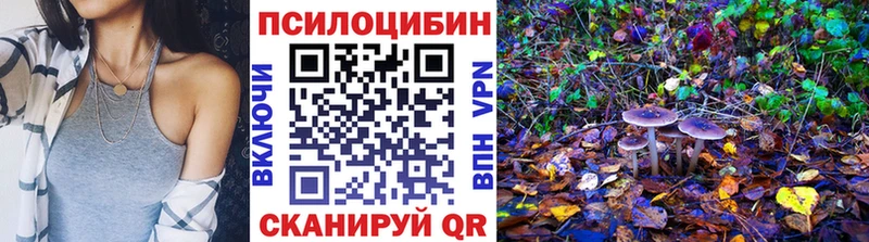 Галлюциногенные грибы Magic Shrooms  где купить наркоту  Заозёрск 